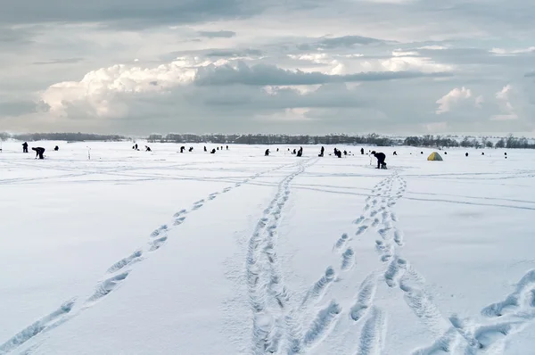 Hivernage sur glace, fond naturel — Photo