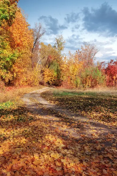 Rural road through autumn forest, natural background — Stock Photo, Image