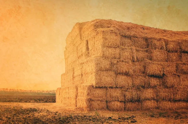 Retro-Bild, Herbst- oder Sommerlandschaft mit Heuhaufen nach dem anderen — Stockfoto