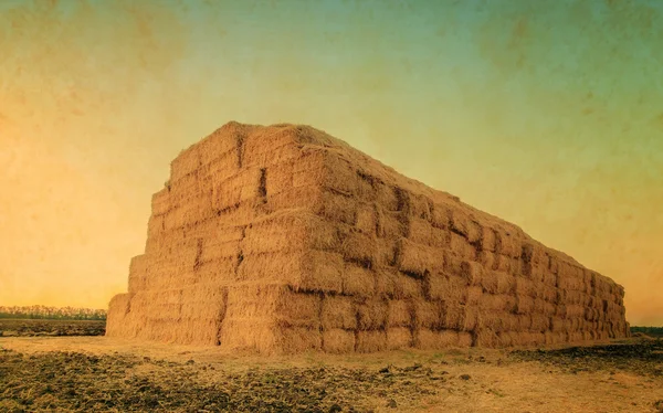 Retro picture, autumn or summer landscape with haystack after th — Stock Photo, Image