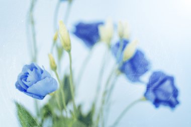 Mavi vintage çiçekler, doğal arka plan