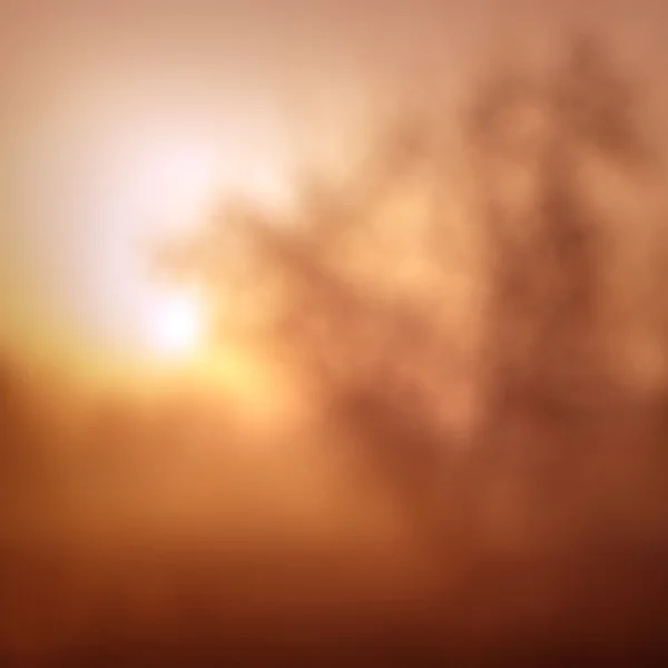 Размытый силуэт раннего туманного утреннего дерева, естественный фон — стоковое фото