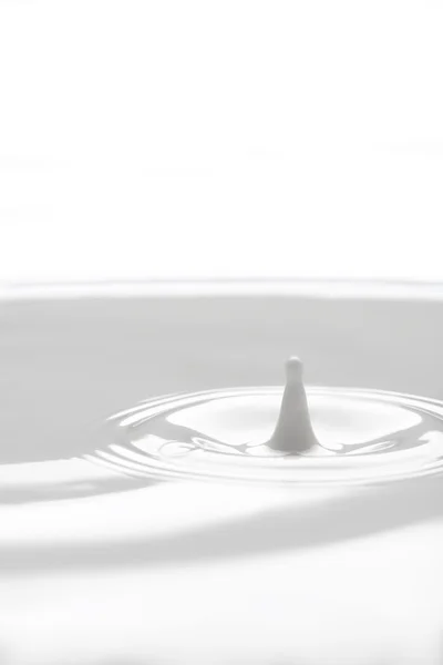 Closeup stropire lapte izolat pe fundal alb — Fotografie, imagine de stoc
