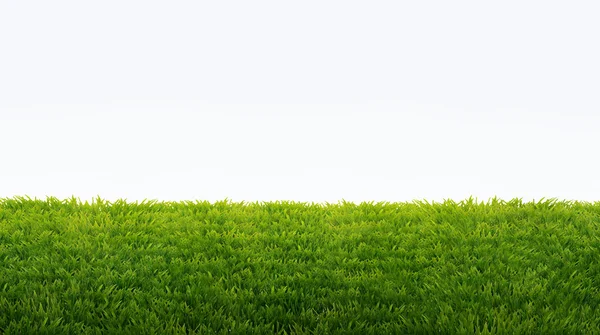 Campo verde di erba fresca isolato su bianco. bac pasquale naturale — Foto Stock