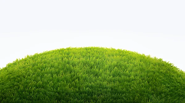 Campo verde di erba fresca isolato su bianco. bac pasquale naturale — Foto Stock