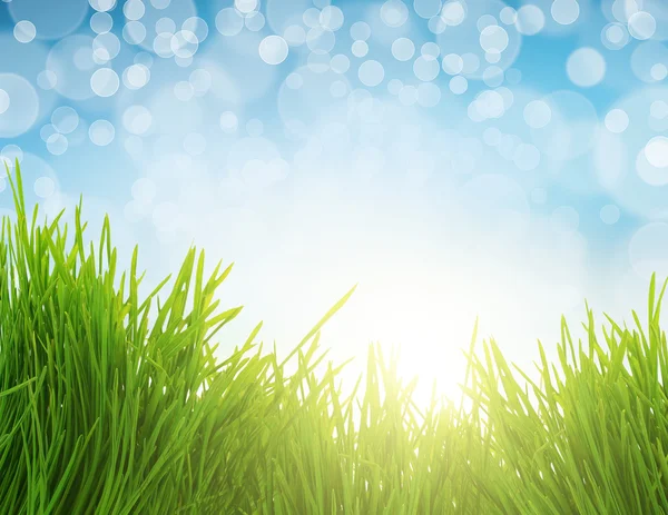 Primer plano hierba verde fresca y la luz del sol, fondo natural — Foto de Stock