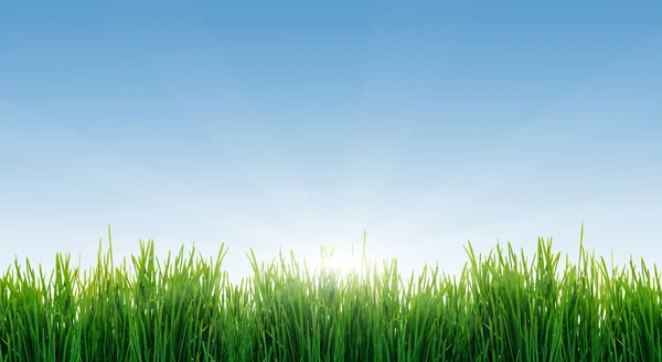 Крупный план свежей зеленой травы на размытом природном фоне — стоковое фото