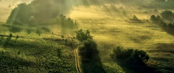 Village landscape on early foggy morning, natural background — Stock Photo, Image