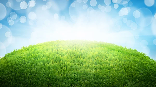 Campo verde de hierba fresca. Fondo de Pascua natural con lugar — Foto de Stock