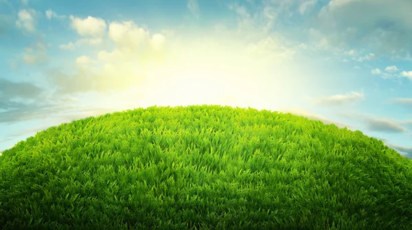 Campo verde de grama fresca isolado em branco. bac de Páscoa natural — Fotografia de Stock