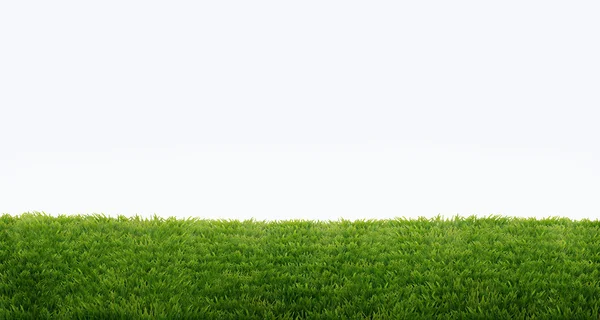 Green field of fresh grass isolated on white. natural easter bac — Stock Photo, Image