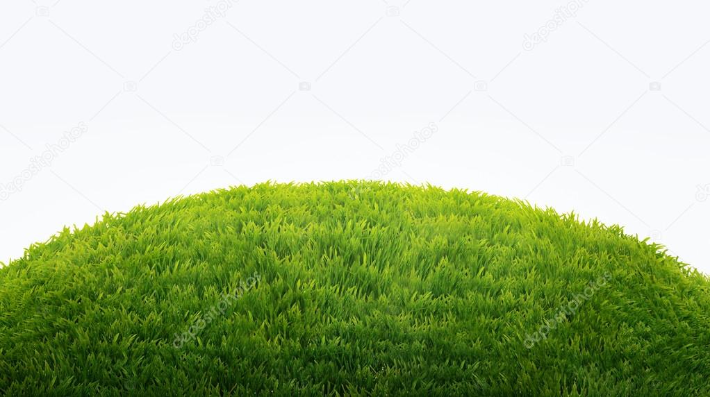 green field of fresh grass isolated on white. natural easter bac