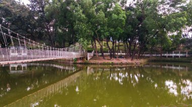 Hindistan 'ın kuzeydoğusundaki Assam' ın Kuzey Cachar Tepeleri 'ndeki Haflong gölünün sularındaki ağaçların yansımaları..