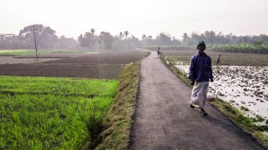Murshidabad, Batı Bengal, Hindistan - Ocak 2018: Murshidabad ilçesinde yeşil alanlardan geçen dar bir köy yolunda yürüyen bir adam.