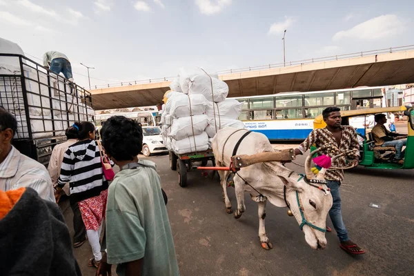 Bangalore Karnataka India January 2019 Indian Man Transporting Heavy Goods — 스톡 사진