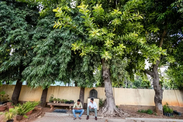 Bangalore Karnataka Índia Janeiro 2019 Dois Homens Sentados Sombra Grandes — Fotografia de Stock