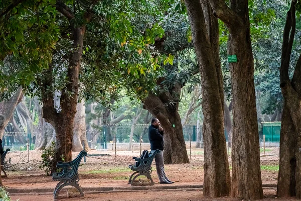 Bangalore Karnataka Índia Janeiro 2019 Árvores Altas Acima Dos Turistas — Fotografia de Stock
