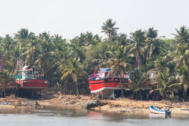 Mangalore, Hindistan - 18 Ocak 2023: Mangaluru yakınlarındaki bir palmiye püsküllü balıkçı köyünde Netravati nehrinin kıyısına demirlemiş ahşap gemiler.