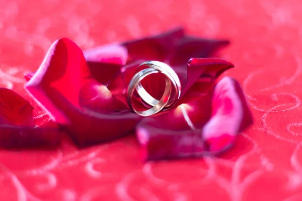 Obrączki Ślubne Płatkach Róż Czerwonych — Zdjęcie stockowe