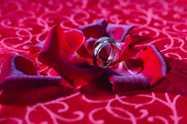 Anillos Boda Pétalos Rosa Roja — Foto de Stock