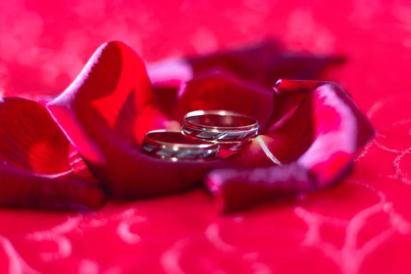 Anillos Boda Pétalos Rosa Roja Imágenes De Stock Sin Royalties Gratis