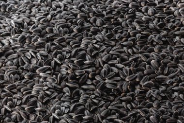 Beyaz arkaplanda ayçiçeği tohumları.