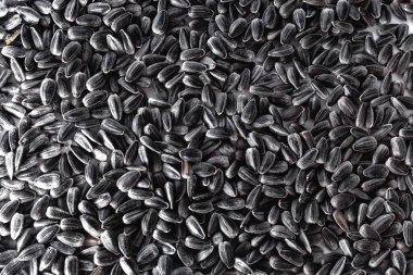 Beyaz arkaplanda ayçiçeği tohumları.