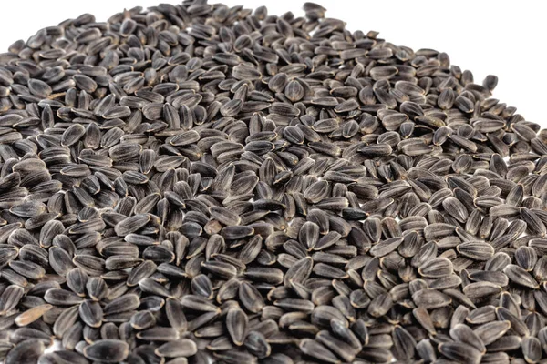 Sunflower Seeds White Background — Stock Photo, Image