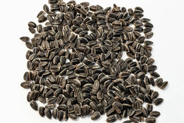 Sunflower Seeds White Background — Stock Photo, Image