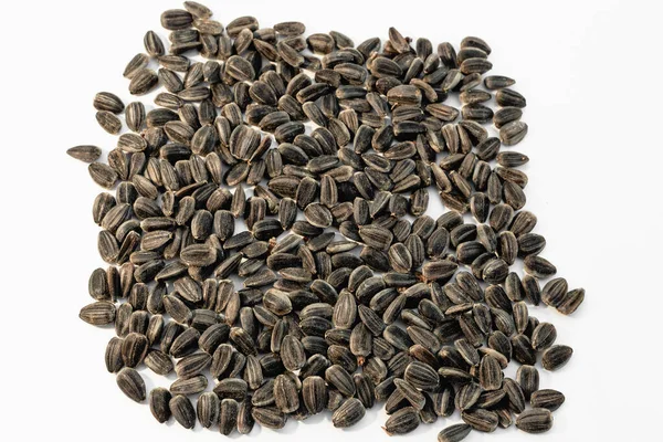 Sunflower Seeds White Background — Stock Photo, Image