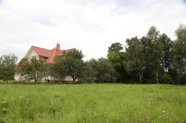 Yaz manzarası. Ağaçlara karşı yeşil çayır.