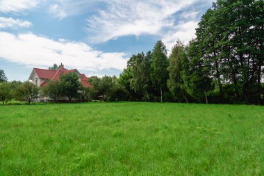 Yaz manzarası. Ağaçlara karşı yeşil çayır.