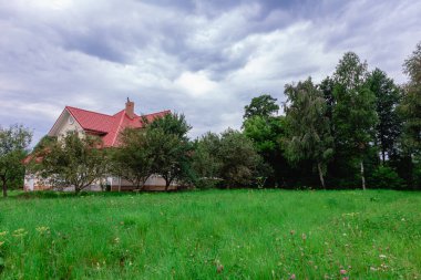 Yaz manzarası. Ağaçlara karşı yeşil çayır.