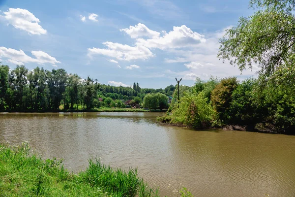 Yaz manzarası. Parktaki Göl.