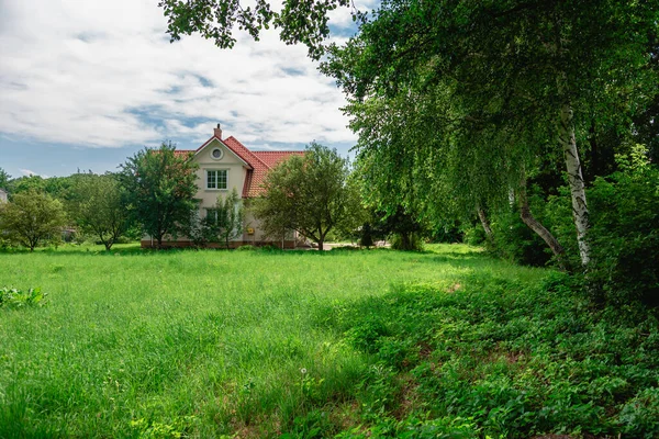 Paisagem Verão Prado Verde Contra Árvores — Fotografia de Stock