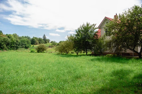 Paisaje Verano Pradera Verde Contra Árboles —  Fotos de Stock