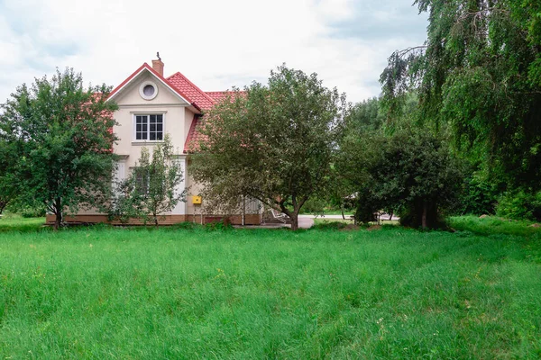 Letní Krajina Zelená Louka Proti Stromům — Stock fotografie