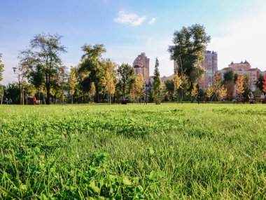 Sonbaharın başlangıcı. Sonbaharın ilk belirtileri. Ukrayna Kyiv.