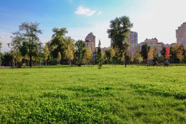 Sonbaharın başlangıcı. Sonbaharın ilk belirtileri. Ukrayna Kyiv.