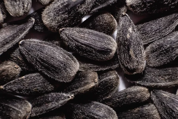 Семена Семена Подсолнечника Крупным Планом Макро — стоковое фото