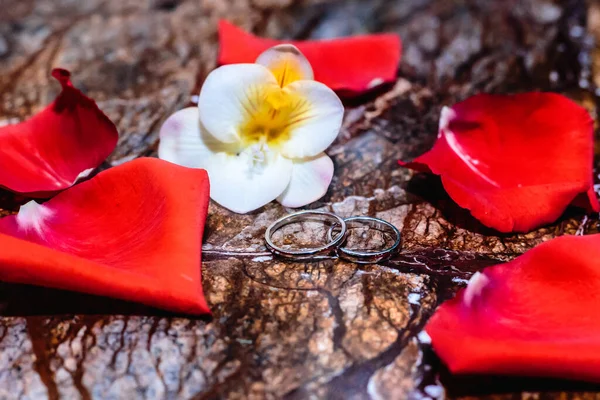 Trauringe Und Rosenblätter — Stockfoto