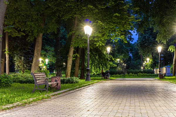 Baharda fenerlerle dolu yeşil parktaki fayanslı yol. Bahar mevsiminde geceleri parkta banklar. Geceleri fenerlerle dolu bir parkın aydınlanması. Mariinsky Parkı. Ukrayna.