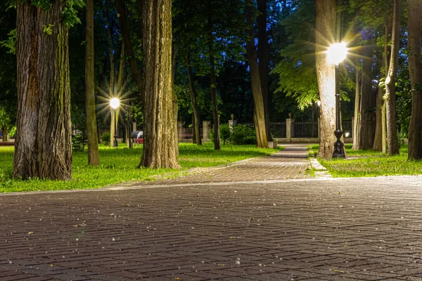 Betegelde Weg Het Nachtgroen Park Met Lantaarns Het Voorjaar Een — Stockfoto