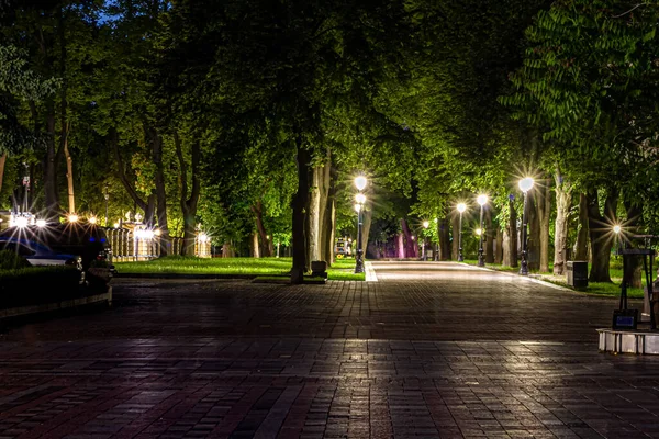 Betegelde Weg Het Nachtgroen Park Met Lantaarns Het Voorjaar Een — Stockfoto