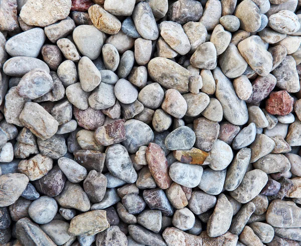 Kleur pebble steen op achtergrond — Stockfoto