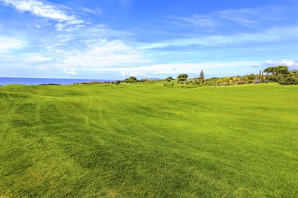 Campo verde e cielo blu — Foto Stock