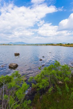 Göl, Messinia sonbaharda
