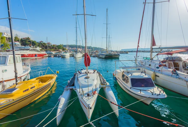 Yat limanında yelkenli.