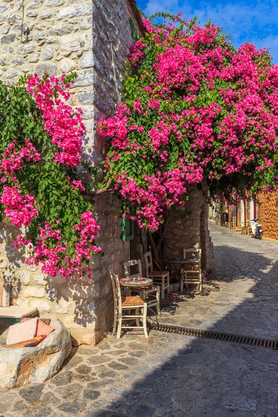 Traditionella stenlagd gata i Areópolis town, Grekland — Stockfoto