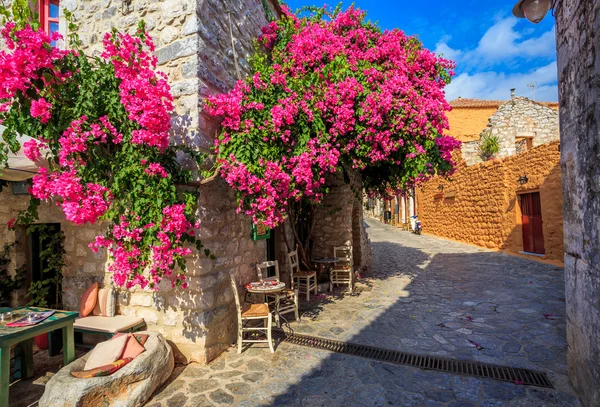 Traditionele geplaveide straat in Areopolis-stad, Griekenland — Stockfoto